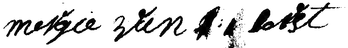 Handtekening Mergie van de Horst